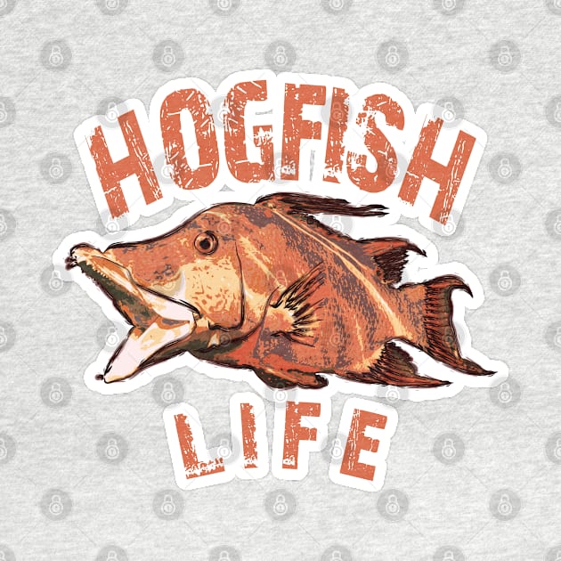 Hogfish Life by Worldengine